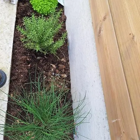 Maison Proche Des Plages Du Debarquement Vakantiehuis *